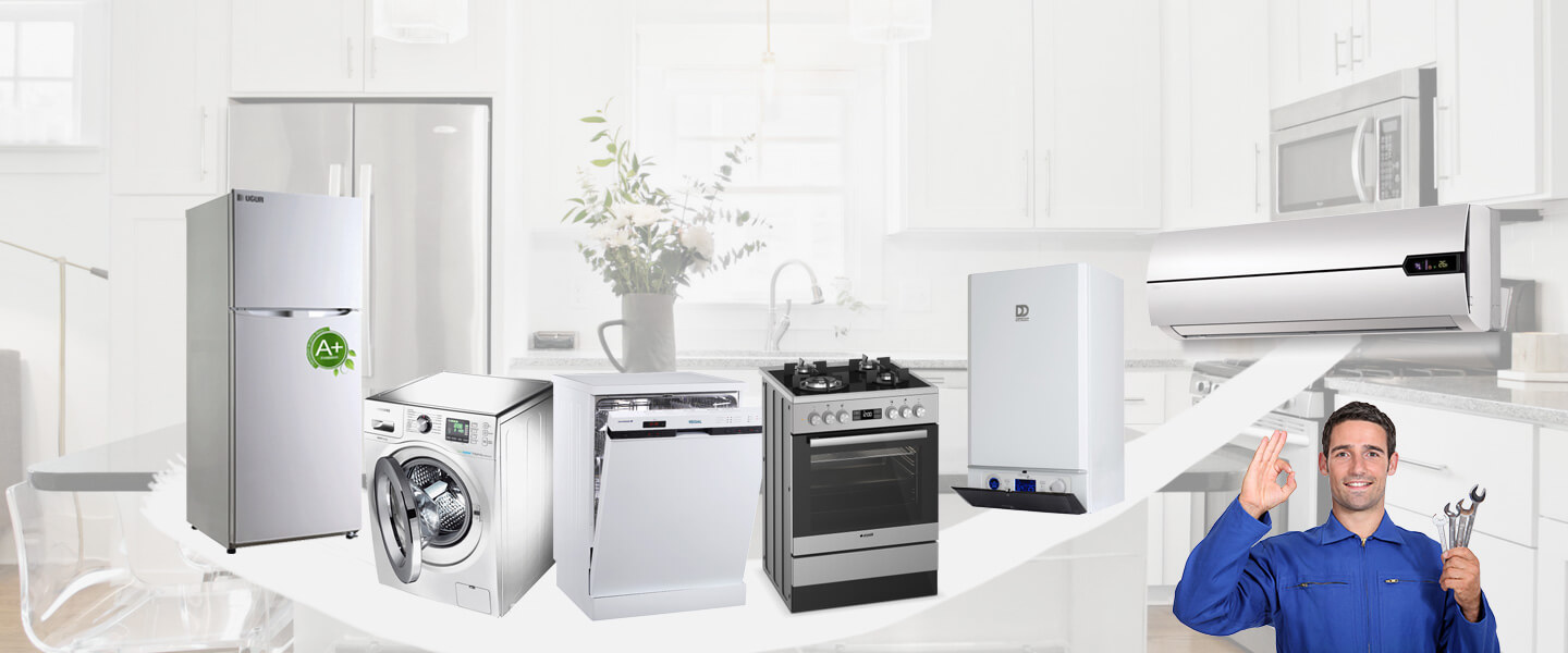Arguvan Electrolux Servisi